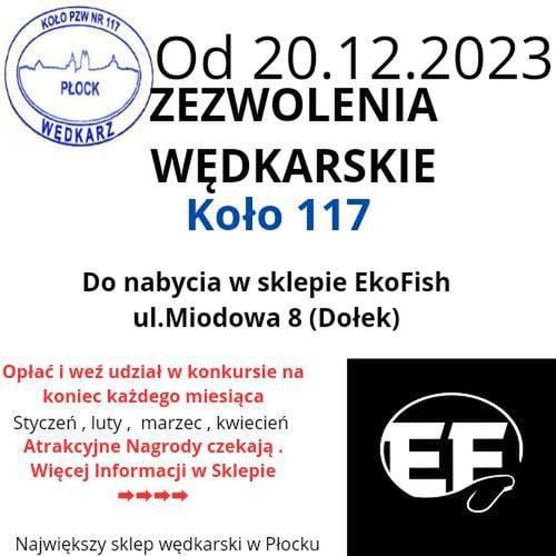 Chcecie zostać grubą rybą i łowić duże sumy?