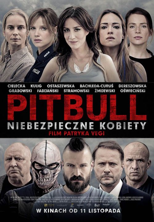 1006plakat_bigpitbullnk_b