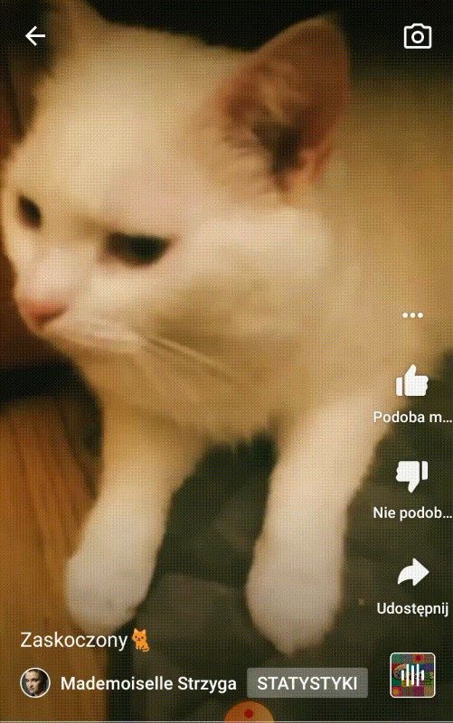 YouTube Short