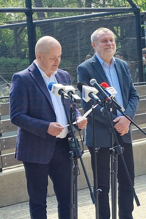 ZOO PŁOCK: Pingwiny Peruwiańskie w nowym wybiegu [FOTO]