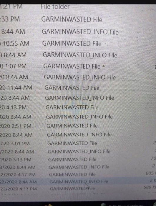 Garmin