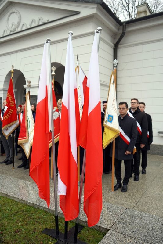 Obchody 11 listopada 