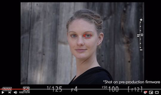 Nikon Z Eye AF