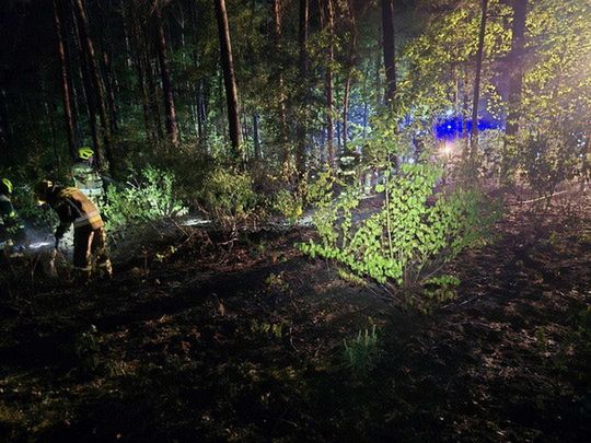Pożar lasu w Budach Kraszewskich - zagrożenie pożarowe lasów!