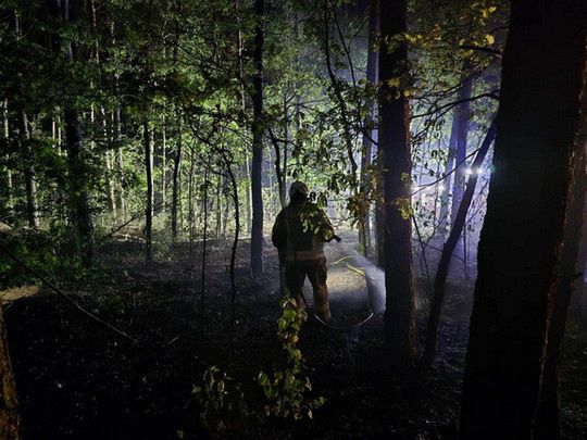 Pożar lasu w Budach Kraszewskich - zagrożenie pożarowe lasów!