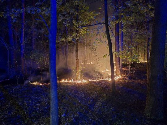 Pożar lasu w Budach Kraszewskich - zagrożenie pożarowe lasów!