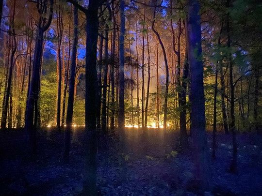 Pożar lasu w Budach Kraszewskich - zagrożenie pożarowe lasów!