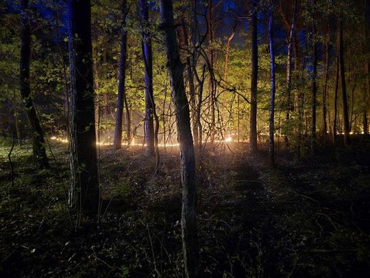 Pożar lasu w Budach Kraszewskich - zagrożenie pożarowe lasów!