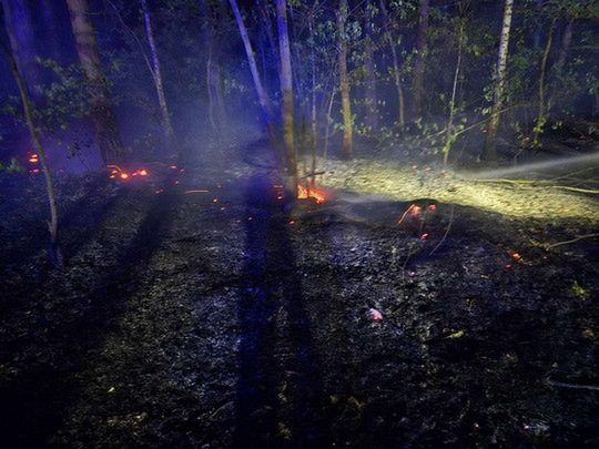 Pożar lasu w Budach Kraszewskich - zagrożenie pożarowe lasów!