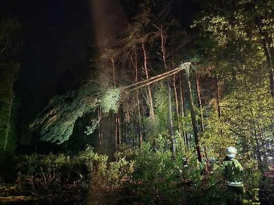 Pożar lasu w Budach Kraszewskich - zagrożenie pożarowe lasów!