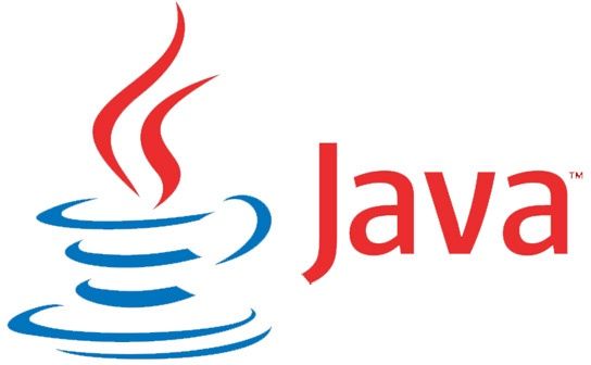 java oracle sun logo
