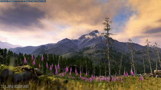 Unigine Valley 1.0 benchmark grafika