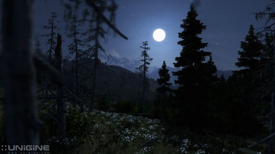 Unigine Valley 1.0 benchmark grafika