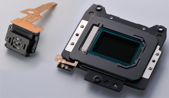 Nikon D3200 sensor układ AF