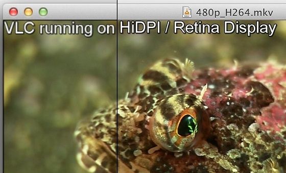 vlc hudpi apple retina sample