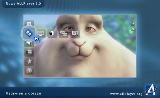 allplayer 5 opcje ustawienia obtazu wygląd
