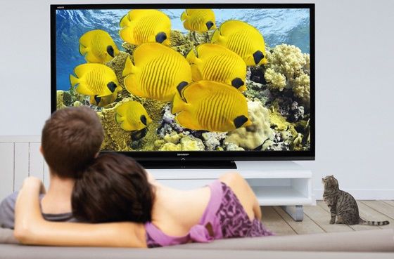 Sharp LC80LE645E telewizor Full LED pomieszczenie
