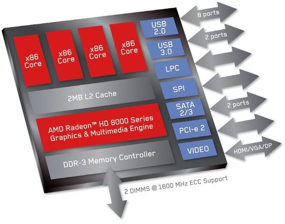 AMD Opteron X Kyoto procesor schemat budowa interfejsy