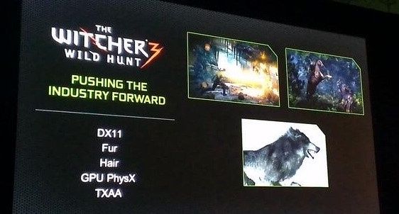 wiedźmin 3 dziki gon nvidia physx