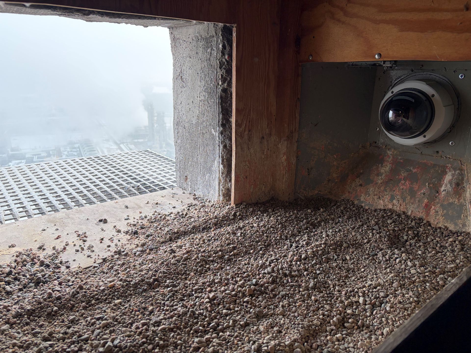 Budki lęgowe gotowe na przyjęcie lokatorów