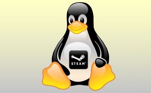 steam for linux
