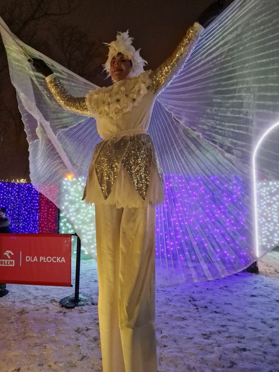 Ogrody światła w Płocku