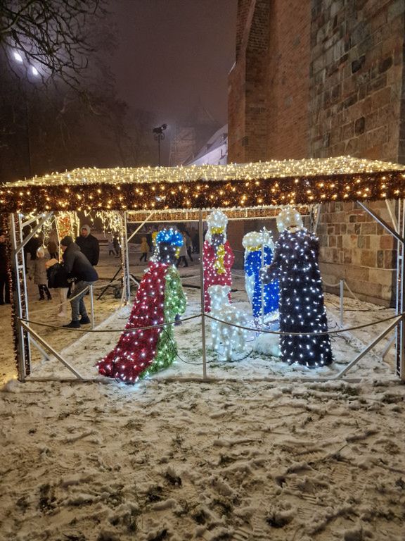 Ogrody światła w Płocku