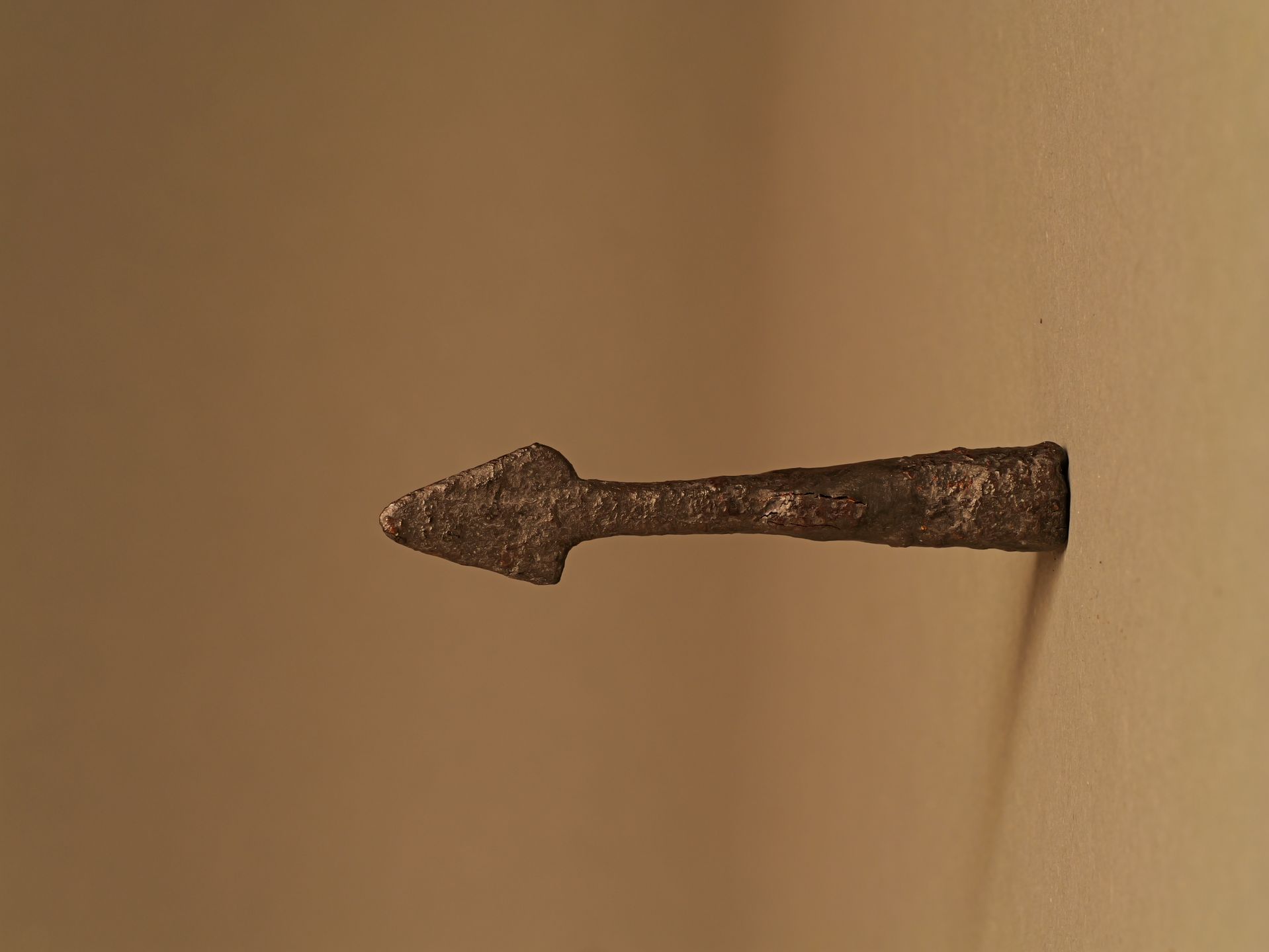 „Przekrój Poznania” – Wyjątkowy Album o Najstarszych Dziejach Mi