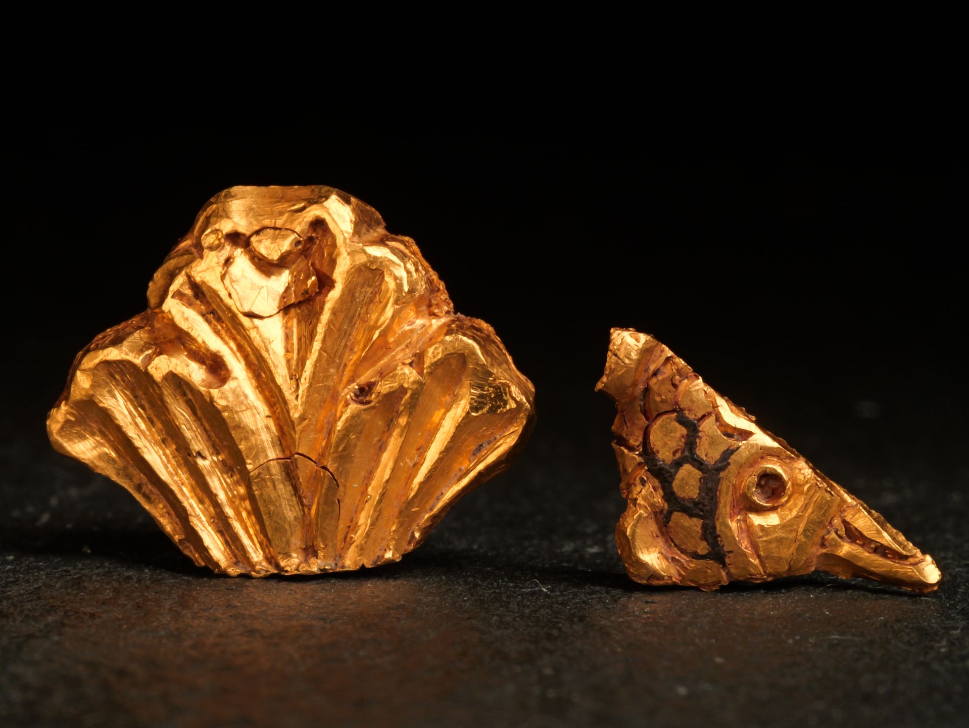 „Przekrój Poznania” – Wyjątkowy Album o Najstarszych Dziejach Mi