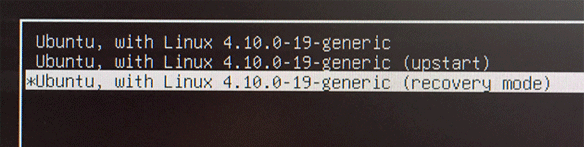 Ubuntu recovery mode