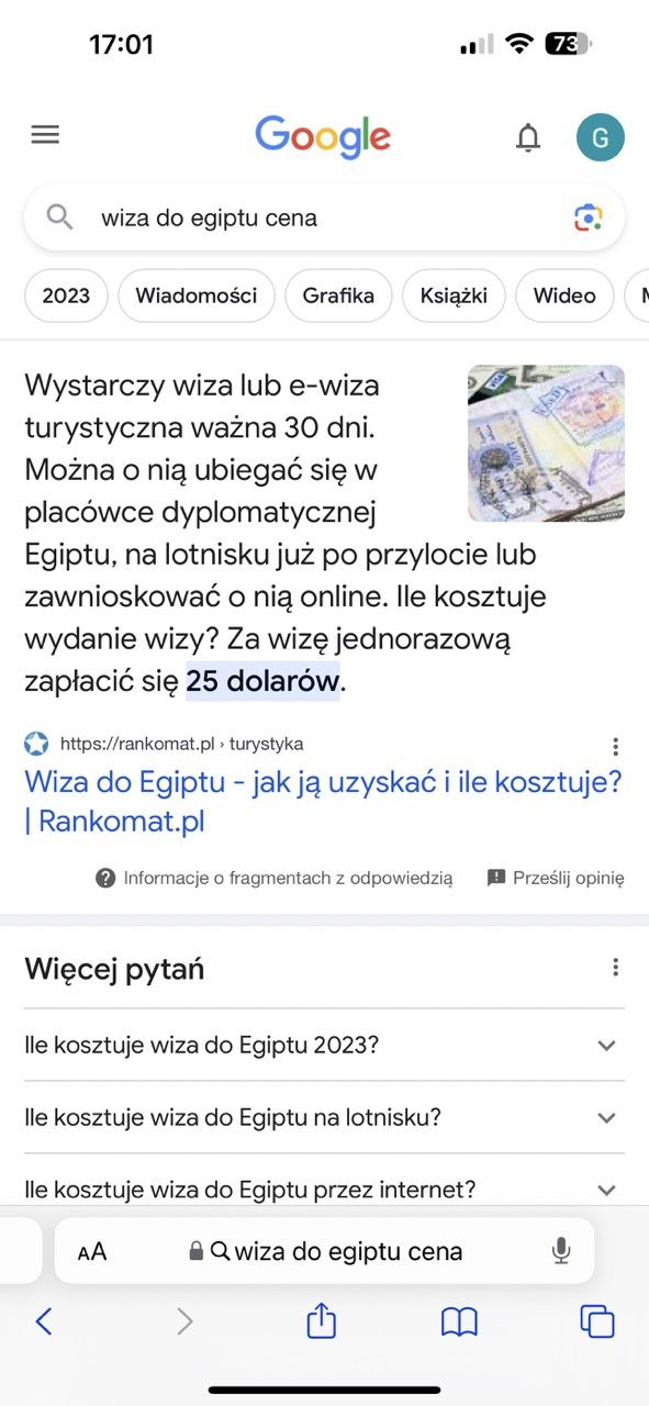 Google wyszukiwanie wiza