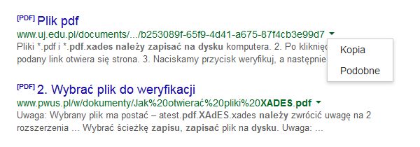 bezpieczne otwieranie pliku PDF