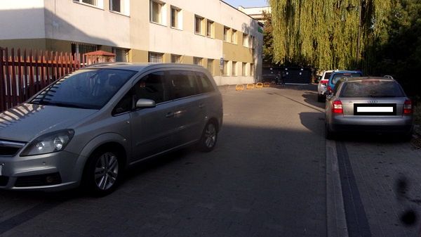 Mistrzowie parkowania w akcji 