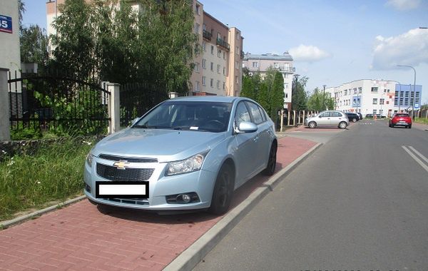 Mistrzowie parkowania w akcji 