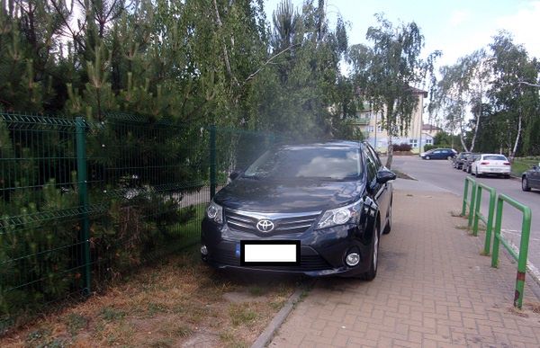 Mistrzowie parkowania w akcji 