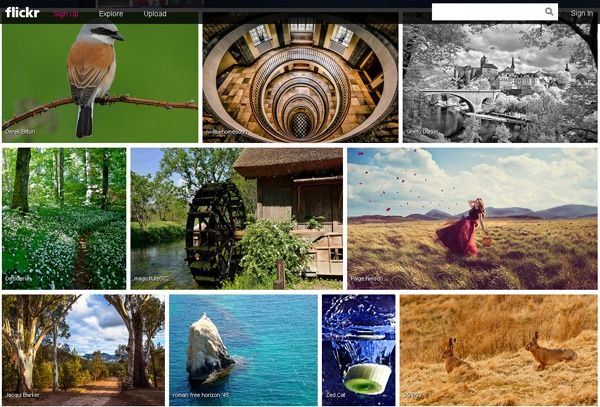 Flickr przegląd albumów nowo dodanych zdjęć