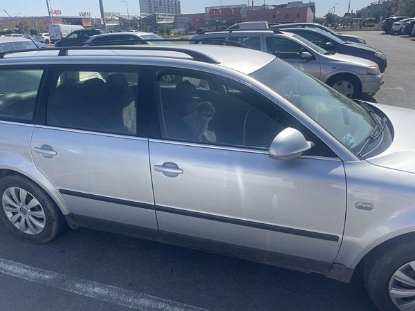 Piesek w nagrzanym aucie