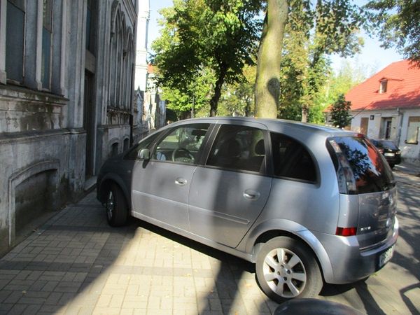 Mistrzowie parkowania w akcji 