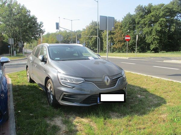 Mistrzowie parkowania w akcji 