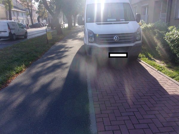 Mistrzowie parkowania w akcji 