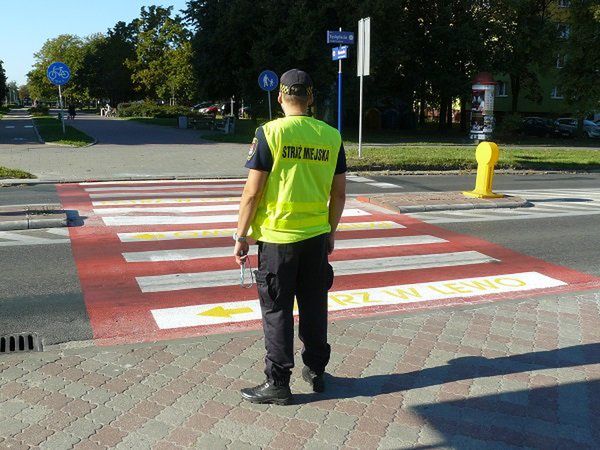 Bezpieczna droga do szkoły