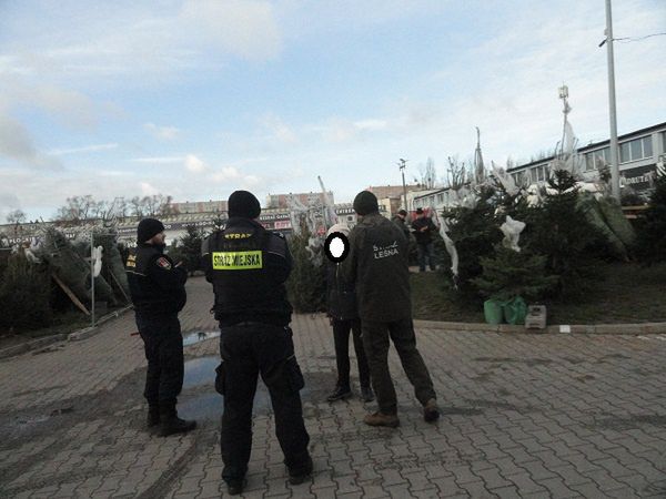 Kontrole sprzedawców choinek