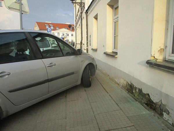 Mistrzowie parkowania w akcji 