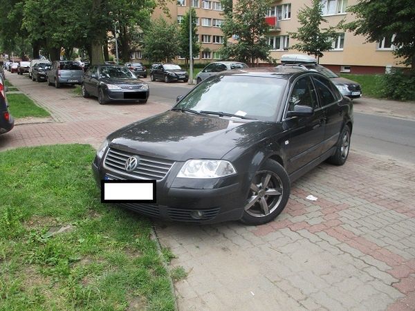 Mistrzowie parkowania w akcji 