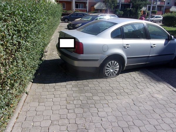 Mistrzowie parkowania w akcji 