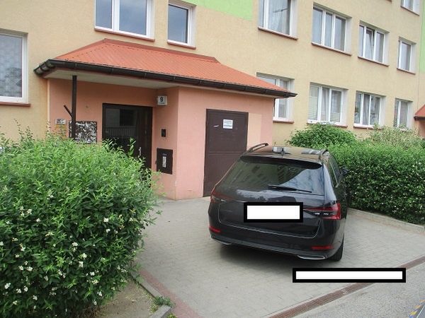 Mistrzowie parkowania w akcji 