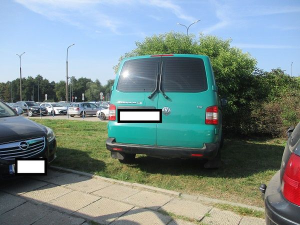 Mistrzowie parkowania w akcji 