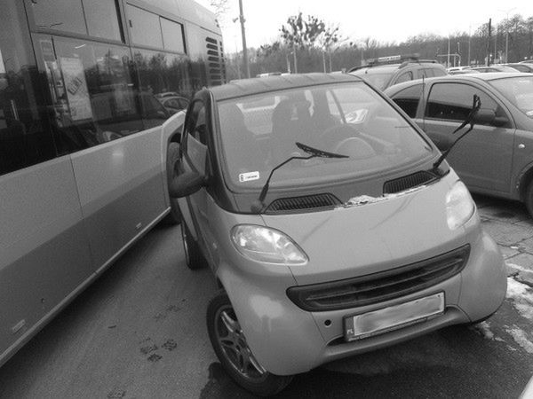 Na utrzymanie się w liniach polecamy kolorowanki