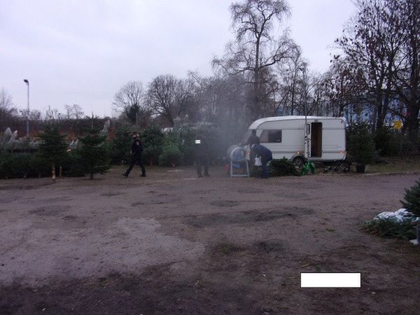 Strażnicy miejscy rozpoczęli sprawdzanie sprzedawców choinek