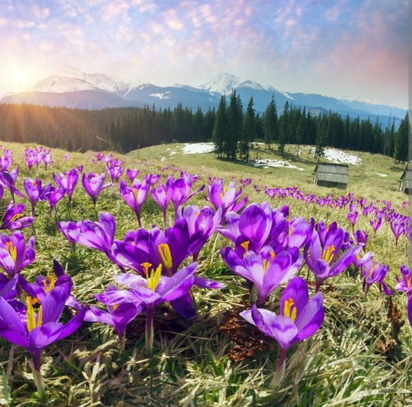 Kandydat do Rady Powiatu zaprasza na spotkania z wyborcami!